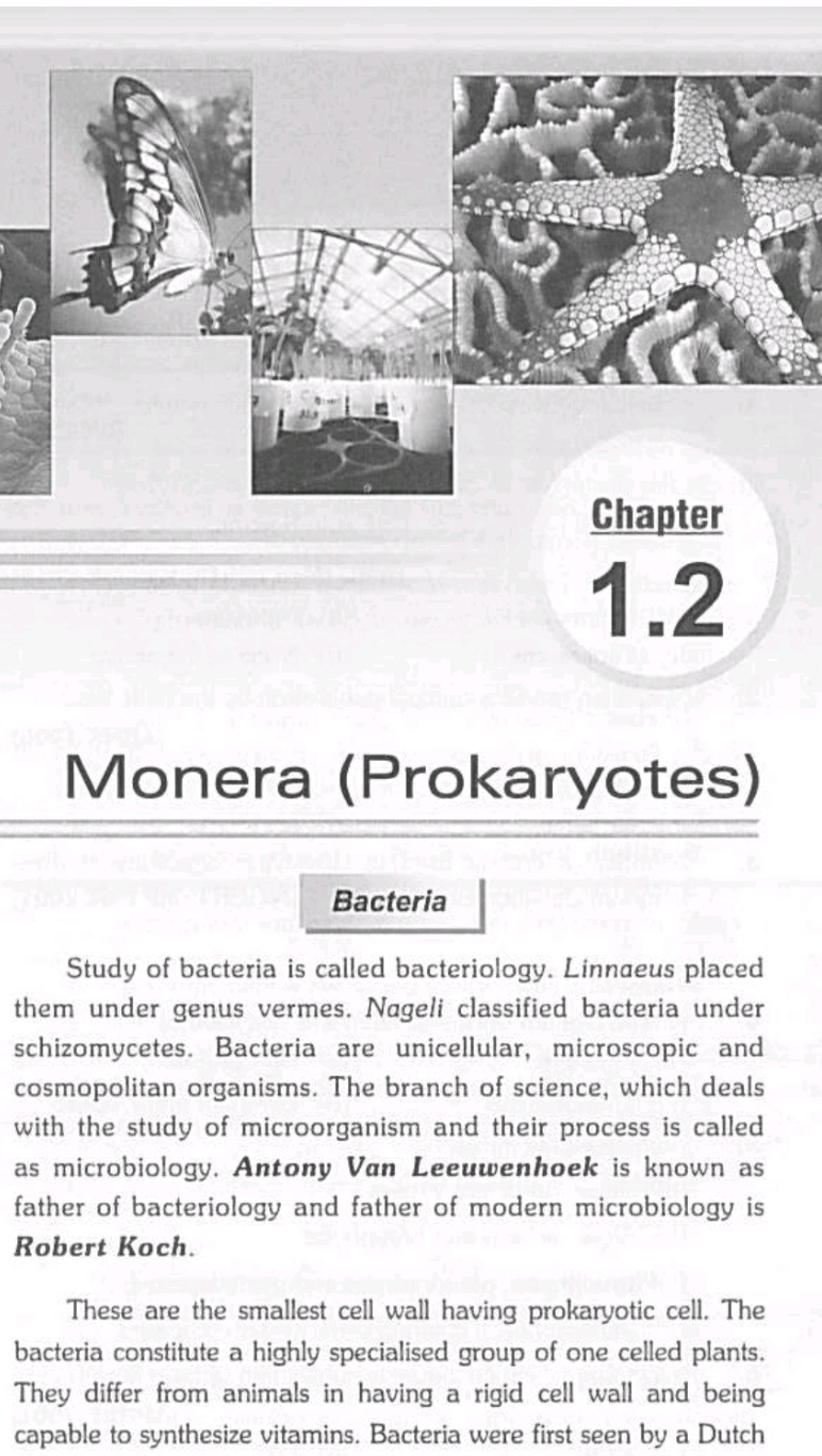 Monera