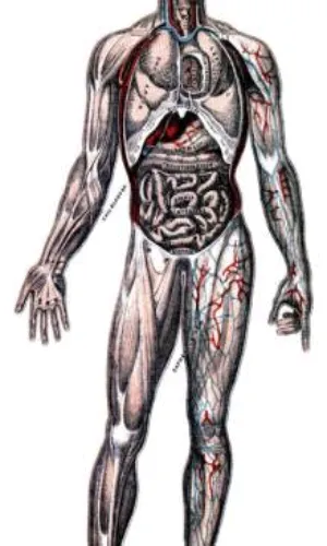 A Treatise on Physiology and Hygiene