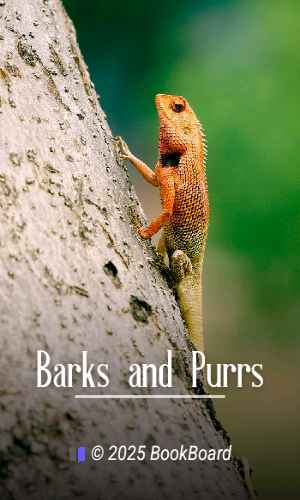 Barks and Purrs