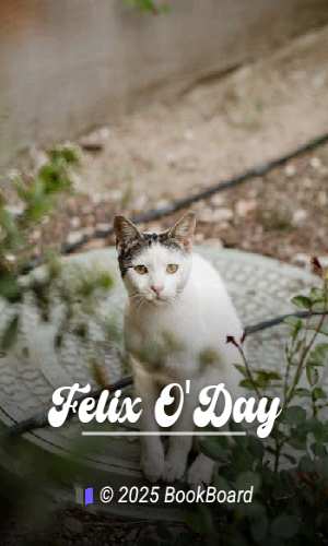Felix O`Day