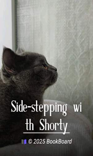 Side-stepping with Shorty
