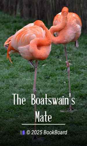 The Boatswain`s Mate