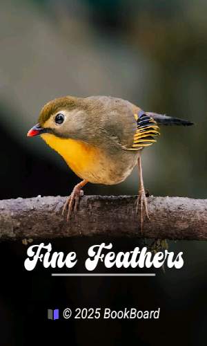 Fine Feathers