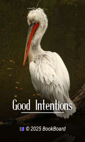 Good Intentions