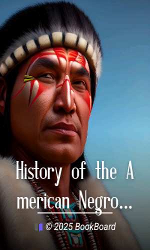 History of the American Negro in the Great World War