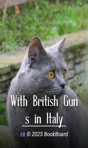 With British Guns in Italy