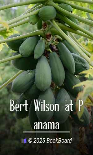 Bert Wilson at Panama