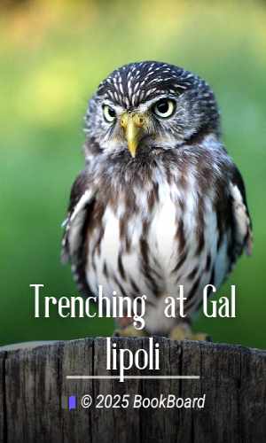 Trenching at Gallipoli