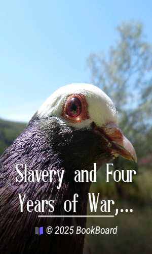 Slavery and Four Years of War, Vol. 1-2