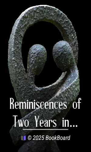 Reminiscences of Two Years in the United States Navy