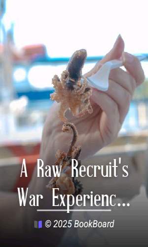 A Raw Recruit`s War Experiences