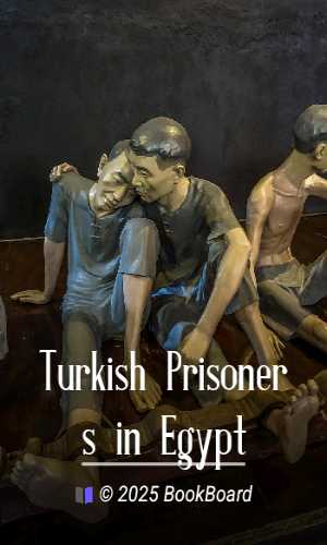 Turkish Prisoners in Egypt