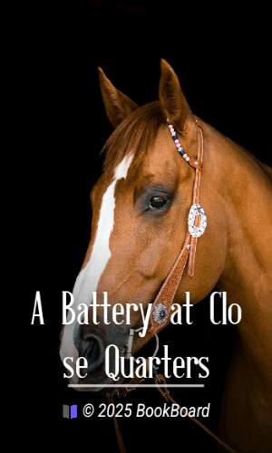 A Battery at Close Quarters