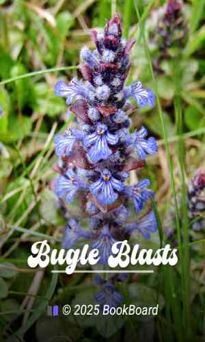 Bugle Blasts