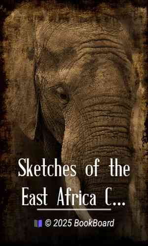 Sketches of the East Africa Campaign