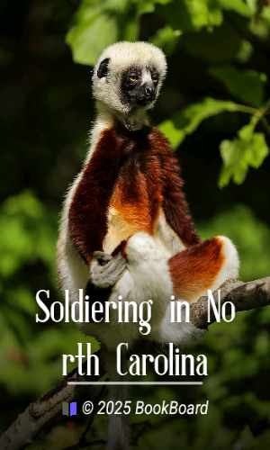 Soldiering in North Carolina