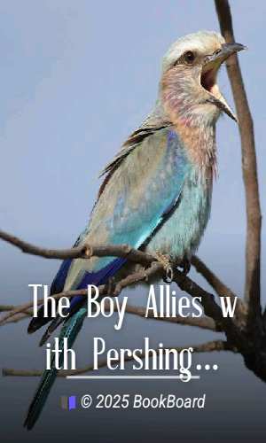 The Boy Allies with Pershing in France