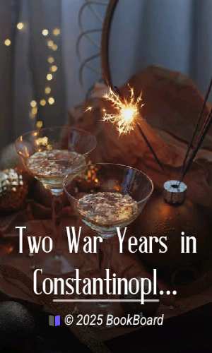 Two War Years in Constantinople