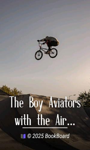 The Boy Aviators with the Air Raiders