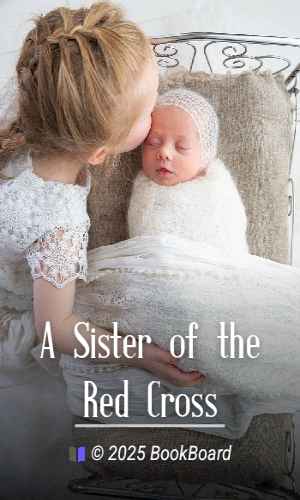 A Sister of the Red Cross