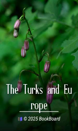 The Turks and Europe