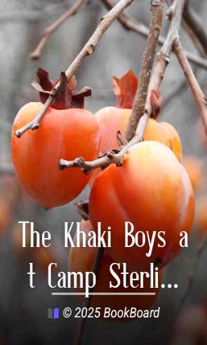 The Khaki Boys at Camp Sterling