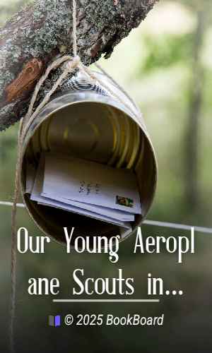 Our Young Aeroplane Scouts in Germany