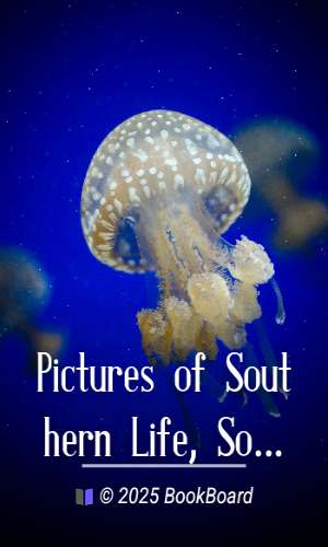 Pictures of Southern Life, Social, Political, and Military