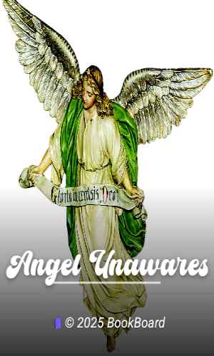 Angel Unawares