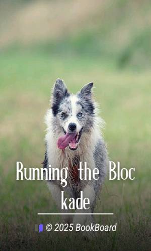 Running the Blockade