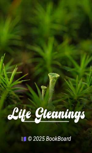 Life Gleanings