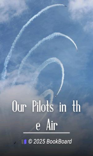 Our Pilots in the Air