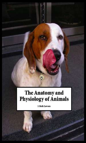 Anatomy and Physiology of Animals