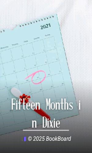 Fifteen Months in Dixie