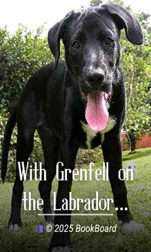 With Grenfell on the Labrador by Fullerton L. Waldo