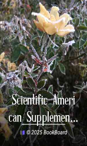 Scientific American Supplement, No. 829, November 21, 1891 by Various