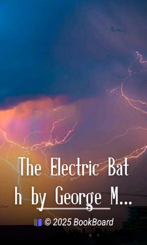 The Electric Bath by George M. Schweig