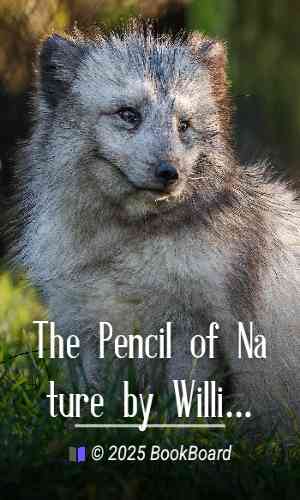 The Pencil of Nature by William Henry Fox Talbot