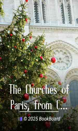 The Churches of Paris, from Clovis to Charles X by Sophia Beale