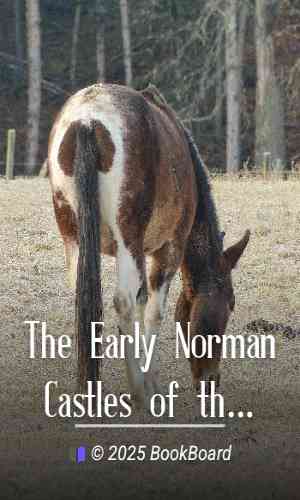 The Early Norman Castles of the British Isles. by Ella Sophia Armitage