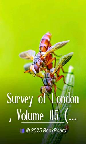 Survey of London, Volume 05 (of 14), the parish of St. Giles-in-the-Fields,…