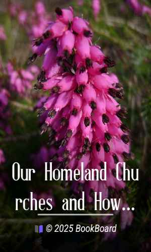Our Homeland Churches and How to Study Them by Sidney Heath