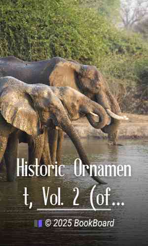 Historic Ornament, Vol. 2 (of 2) by James Ward