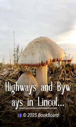 Highways and Byways in Lincolnshire by W. F. Rawnsley