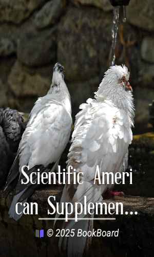 Scientific American Supplement, No. 520, December 19, 1885 by Various