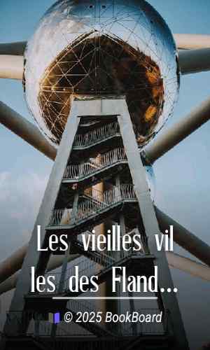 Les vieilles villes des Flandres: Belgique et Flandre française by Albert Robida
