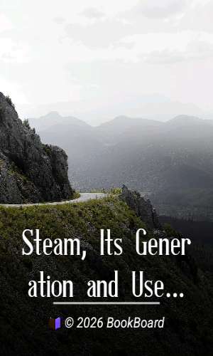 Steam, Its Generation and Use by Babcock & Wilcox Company