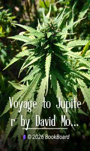 Voyage to Jupiter by David Morrison and Jane Samz