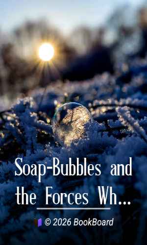 Soap-Bubbles and the Forces Which Mould Them by C. V. Boys
