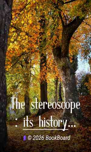 The stereoscope : its history, theory, and construction, with its application…